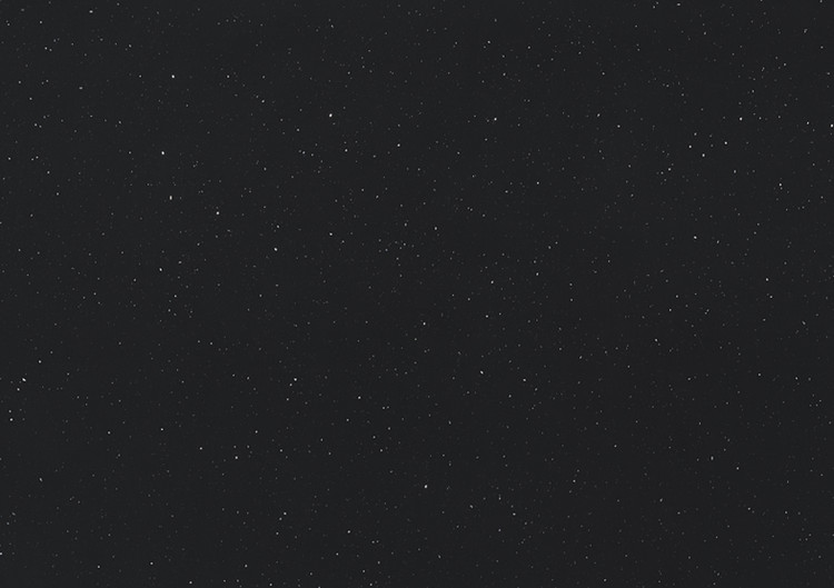 کوارتز توتم 2203 stella nero