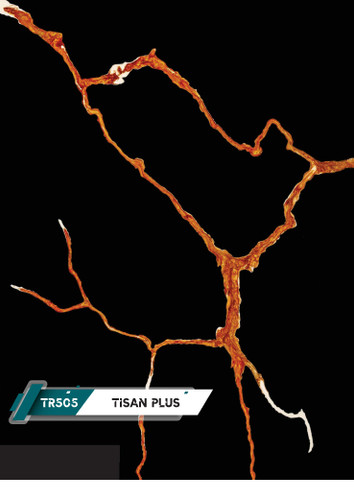 کورین تیسان کد TR505