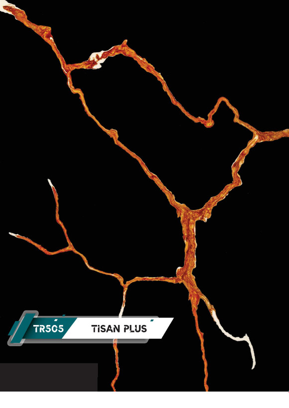 کورین تیسان کد TR505