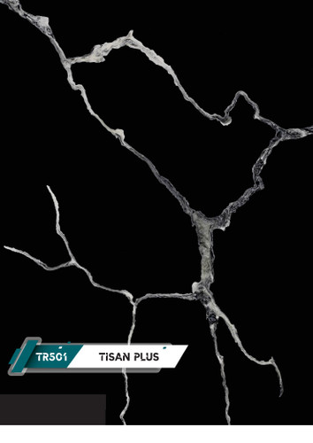 کورین تیسان کد TR501