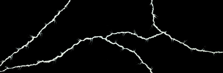 کورین فرمینو fo_603 marquina