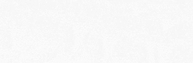 کورین فرمینو fo_532 civileh