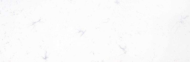 کورین فرمینو fo_533 deep sense