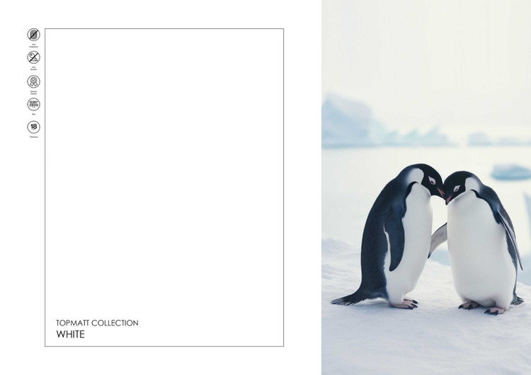 ام دی اف بارشین 4102 white