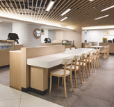 کوارتز رادیانز Lotte Radianz EW120 everest white