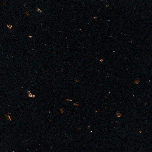 کوارتز رادیانز Lotte Radianz FB991 ferio black