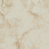 استارون لوته VD175 Dandelion