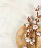 استارون لوته VM143 Magnolia