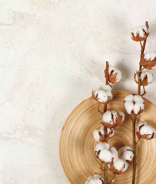 استارون لوته VM143 Magnolia