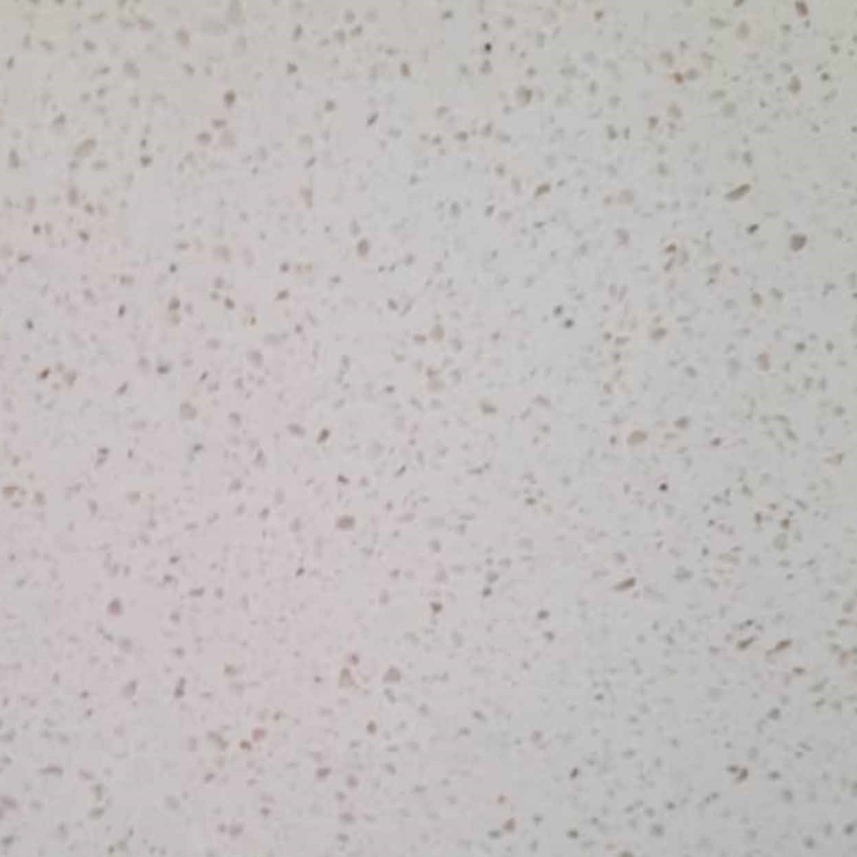 کوارتز کاینداستون کد 128  (Sanded Cream (Glory