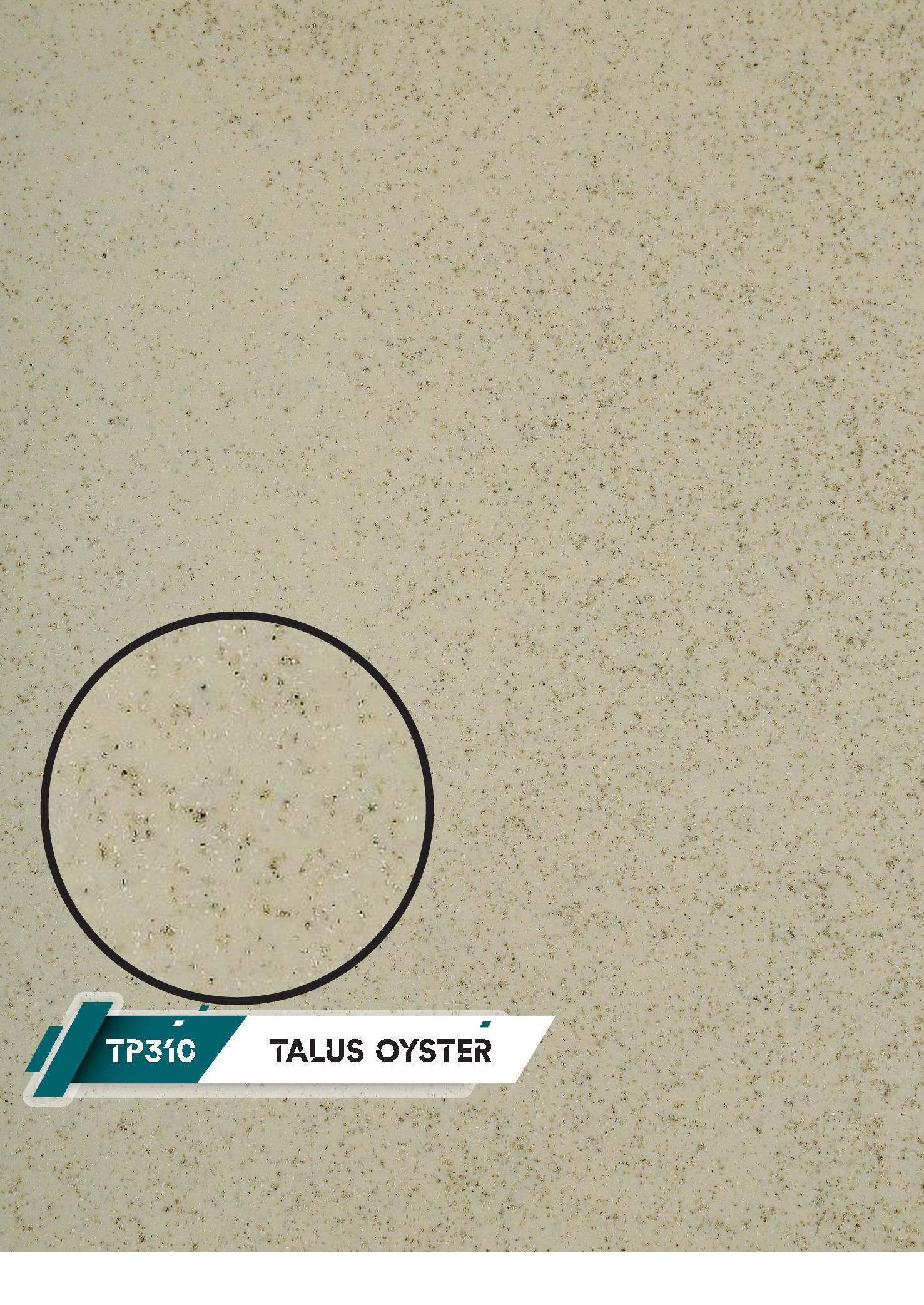 کورین تیسان کد   TP 310 talus oyster