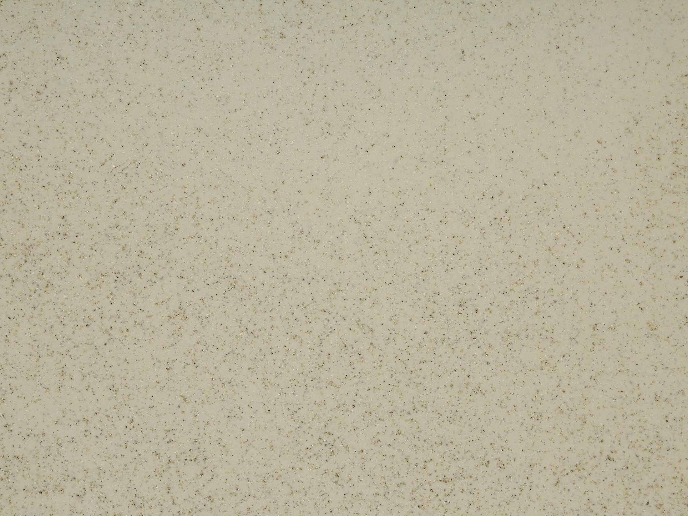 کورین تیسان کد   TP 310 talus oyster