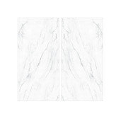 پرسلان سراکا vector